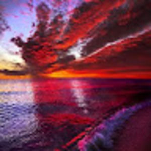 Meet your Posher, Don